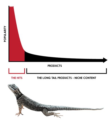 What Is Long Tail In Marketing? | Long Tail Theory Explained | Feedough