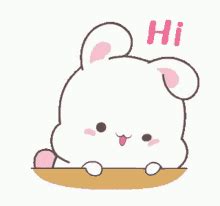 Cute Bunny GIFs | GIFDB.com