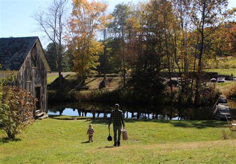 Finding the Best Heirloom Apples for the Small Home Orchard : This Inspired Life