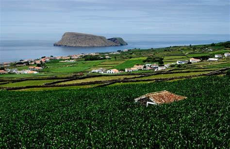 Terceira: the third discovery among the nine Azorean islands - Portugal Adventures