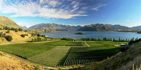 Queenstown Wine Tours | Everything Queenstown