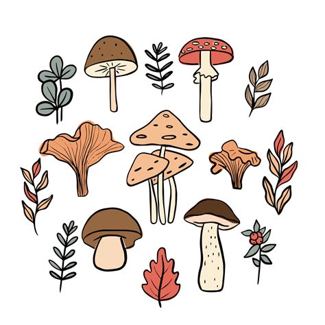 Set of mushrooms and plants. Doodle hand drawn elements. Icons for design stickers 13630192 ...