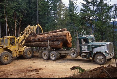 Peterbilt 359 logger | Model truck kits, Big rig trucks, Cool trucks