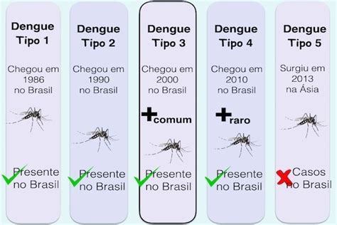 Tipos de dengue: cuántos hay y dudas comunes - Maestria Salud