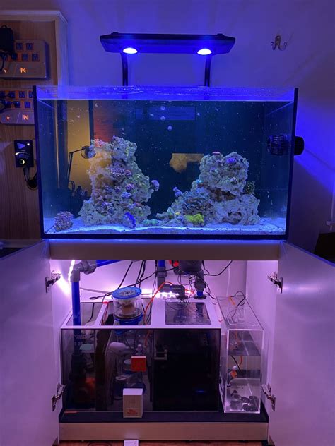 Tennessee - Red Sea Reefer 250 Setup | Reef2Reef