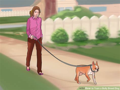 How to Train a Bully Breed Dog (with Pictures) - wikiHow