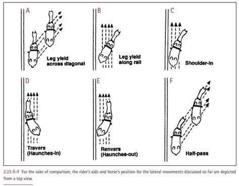 Lateral Movement Exercises