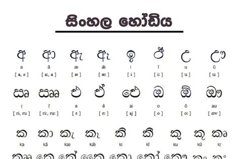 Sinhala srilankan – Telegraph