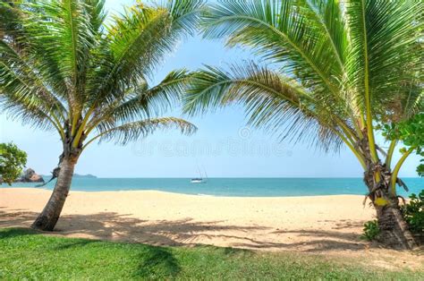 Cherating Beach, Kuantan, Malaysia Stock Photo - Image of club, coconut ...