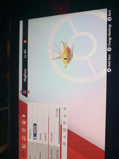 [8] First shiny in sword and shield : ShinyPokemon