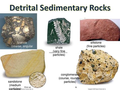 Sedimentary Rocks. - ppt download