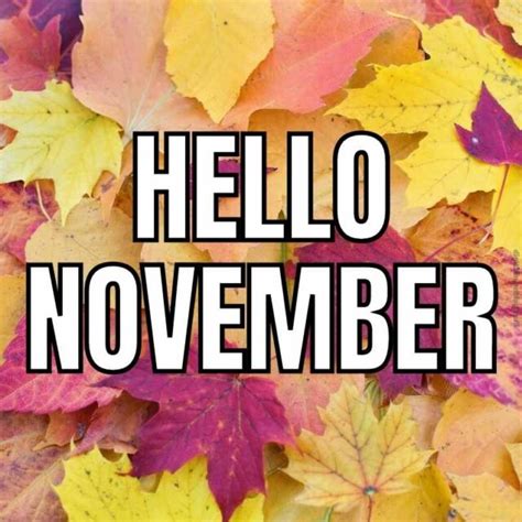 Best November Memes 2024: Celebrating Humor And Gratitude