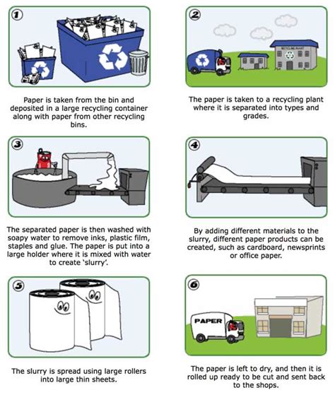 Large & Small-scale Community Paper Recycling, Reuse, & Repurposing