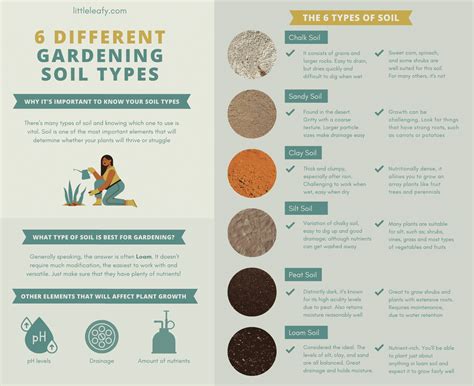 6 Different Gardening Soil Types (Explained) - Little Leafy