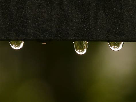 Download free photo of Drip,raindrop,water,wet,surface tension - from ...