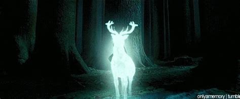 Harry Potter Expecto Patronum GIF - Find & Share on GIPHY