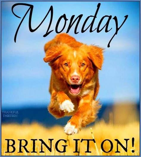 Happy Monday! ️ | Monday quotes, Monday humor, Morning quotes funny