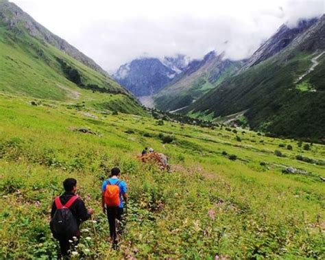 Valley of Flowers Trek Tour Package at Best Price in Delhi - ID: 5380642