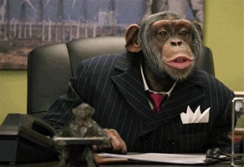 Monkey Business – 1Funny.com