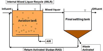 Activated Sludge | Three Steps to Improve Your Process Efficiency