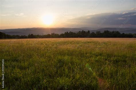 Sunset in Grassy Meadow Stock Photo | Adobe Stock