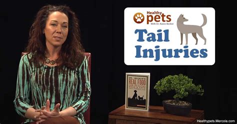 Pet Tail Injuries You Should Not Ignore