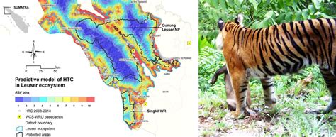 Bengal Tiger Habitat Map