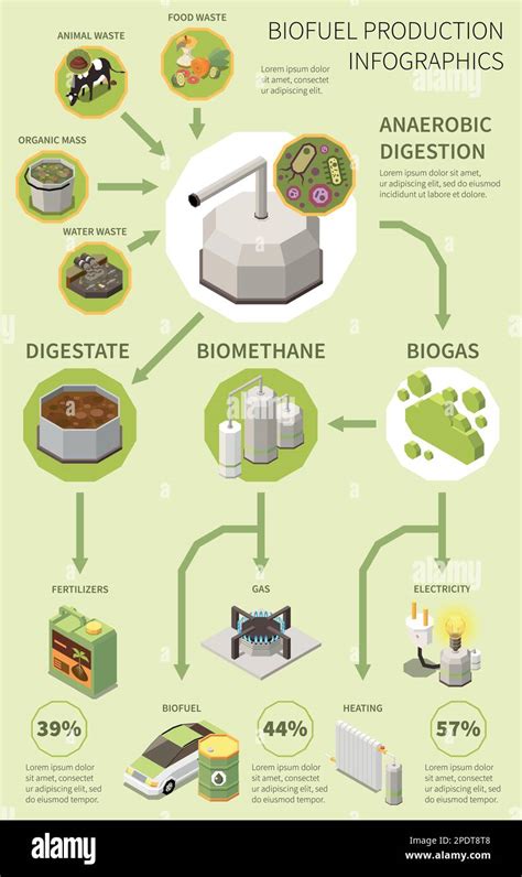 Biofuel infographics poster with production process from organic waste ...