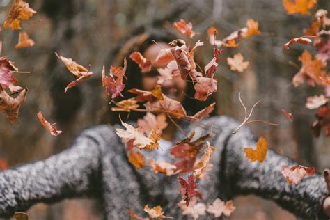 5 Great Walks to Experience Fall Foliage in New York - The Marmara Park ...