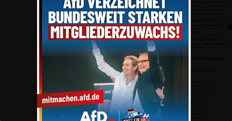 Breaking: German Minister Classifies Conservative AfD Party as "Right ...