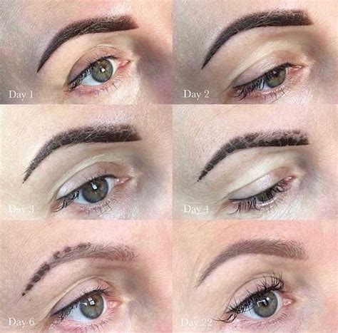 Powder Brows Healing Process: Full Day by Day Overview - PMUHub