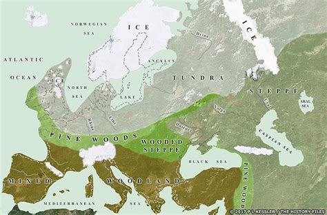 Mammoth Steppe: How Disappearance Of Mammoths Affect Earth's Ecosystem?