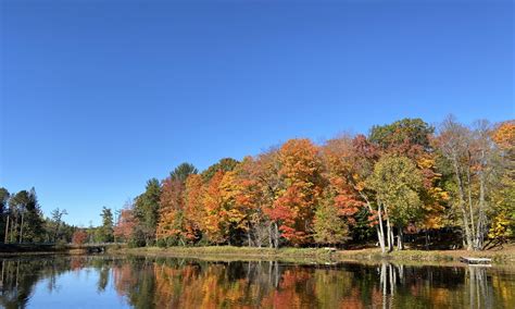 Availability | White Pines Cabin: Family-Fishing-Fun! Vacation Rental ...