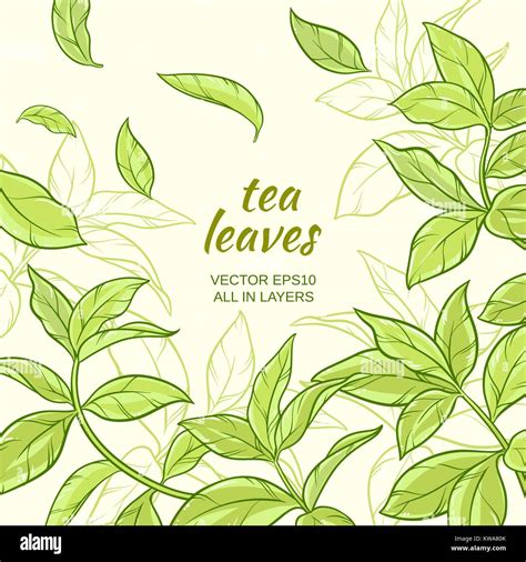 tea leaves background Stock Vector Image & Art - Alamy