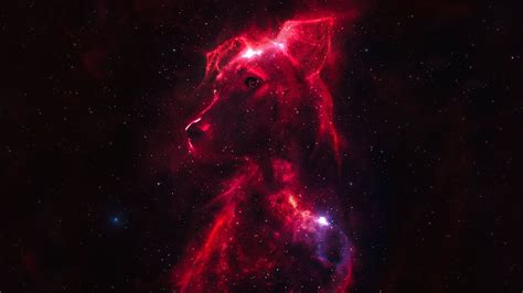 SPACE DOGS Trailer - YouTube