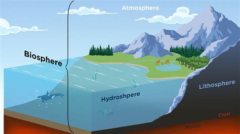 William McCoy - Biosphere Diagram