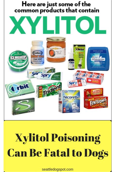 Xylitol Poisoning Poses a Real Threat to Dogs | Seattle DogSpot