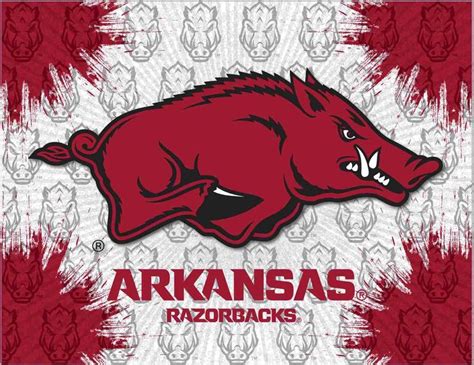 Arkansas Razorbacks HBS Gray Red Navy Wall Canvas Art Picture Print ...