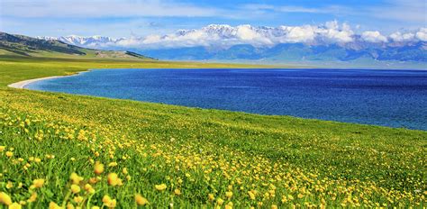 Sea Of Flowers by Feng Wei Photography