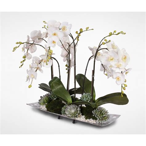 Mercer41 Orchids Floral Arrangement in Tray | Wayfair