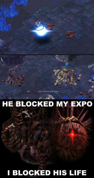 Starcraft 2 Meme Bocked Expo | Starcraft, Starcraft 2, Game art