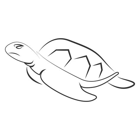 turtle vector illustration design 23969919 Vector Art at Vecteezy