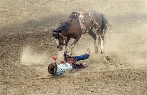 Stare Down Photograph by Betty Liu - Fine Art America