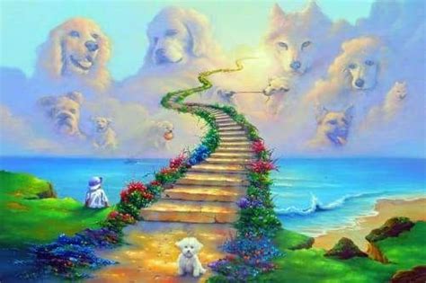 All Dogs Go To Heaven | Rainbow bridge, Dog heaven, Animal wall art decor