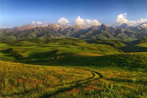 Wallpapers Scenery Mountains Fields Poppies Kyrgyzstan Tian Shan Nature Image #363544 Download