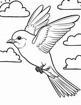 Flying Bird Coloring Pages sketch template