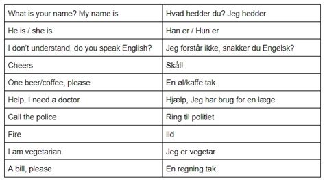 Basic Danish Phrases All Students Can Handle