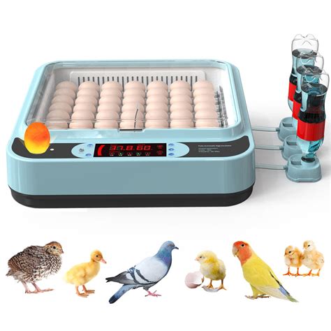 OUYOLAD 64 Egg Incubator with Humidity Display, Incubators for Hatching ...