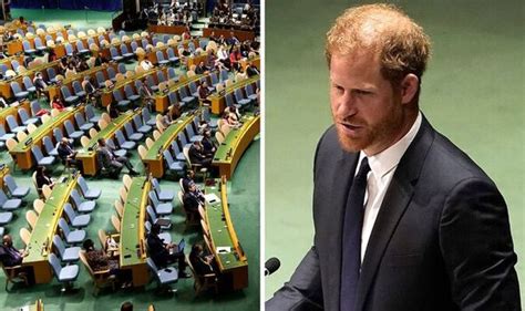 Prince Harry defended after Duke mocked for giving UN speech to almost ...