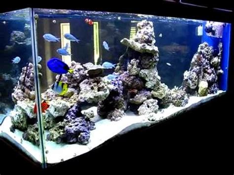 20 best images about Zee aquarium on Pinterest | Plugs, Red sea and Full of